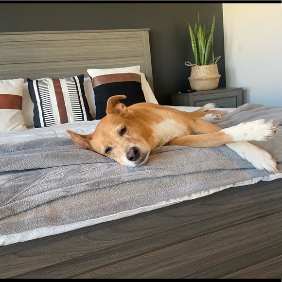 Meet your Posher, Maria - Picture 3 of 3